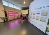 IMG_3281.jpeg