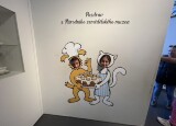 IMG_3289.jpeg