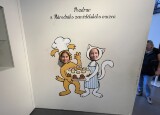 IMG_3288.jpeg
