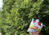 IMG_5555.jpeg
