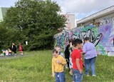IMG_5552.jpeg