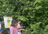 IMG_5537.jpeg