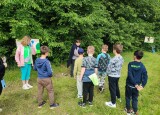 IMG_20240531_102456.jpg