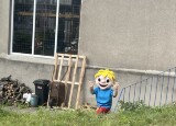 IMG_3355.jpeg