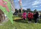 IMG_3317.jpeg