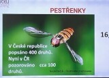 Beseda - Hmyzí opylovači IX (5).jpg