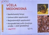 Beseda - Hmyzí opylovači IX (9).jpg