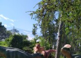 IMG-20240612-WA0080.jpg