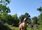 IMG-20240612-WA0076.jpg