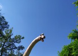 IMG-20240612-WA0069.jpg