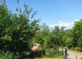 IMG-20240612-WA0075.jpg