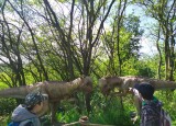 IMG-20240612-WA0049.jpg