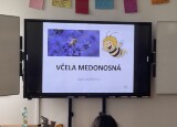 IMG_3462.jpeg