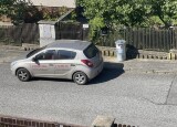 IMG_3450.jpeg