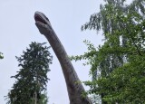 20240614_094249.jpg