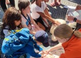 IMG_20240617_101831.jpg