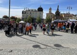IMG_0606.JPEG