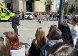 IMG_0611.JPEG