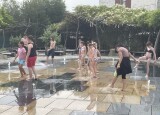 IMG_3591.jpeg
