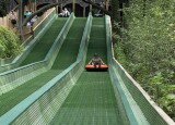 IMG_3588.jpeg