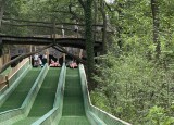 IMG_3585.jpeg