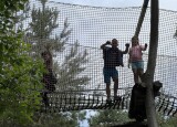 IMG_3584.jpeg