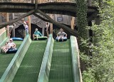 IMG_3590.jpeg