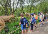 IMG_20240621_101616.jpg