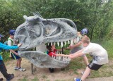 IMG_20240621_104635.jpg