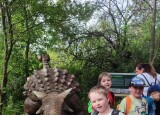 IMG_20240621_101229.jpg