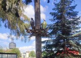 IMG_20240625_104108.jpg