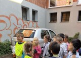 IMG_5435.jpeg