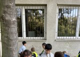 IMG_5438.jpeg