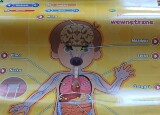 IMG-20240918-WA0039.jpg