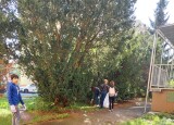 IMG-20240918-WA0038.jpg