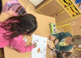 IMG_6869.jpeg