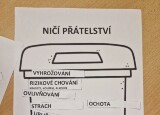 20240924_091956.jpg