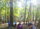 IMG-20240926-WA0109.jpg
