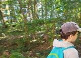 IMG-20240926-WA0107.jpg