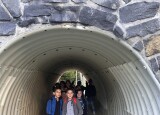 IMG_3566.jpeg