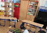 IMG_5385.jpeg