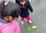 IMG_6931.jpeg