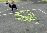 IMG_6933.jpeg