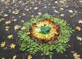 IMG_6944.jpeg