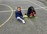 IMG_6937.jpeg