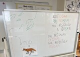IMG_5662.jpeg