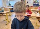 IMG_6955.jpeg