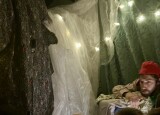 IMG_7017.jpeg