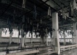 IMG_4388.jpeg
