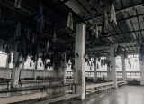 IMG_4387.jpeg
